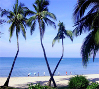 阳江雅苑养生城